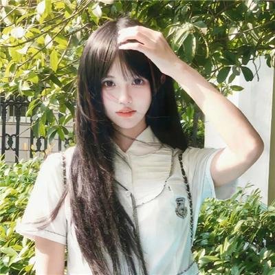 我的小狮王