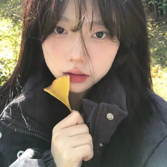 诱惑者的日记